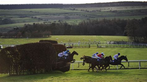 hexham races today|Hexham Racing Results .